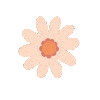 Dacquoise 🌸