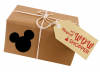 Mail from Mickey Subscription Box