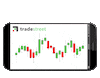 Trading course