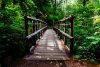 The basics of wellbeing Course