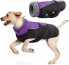 Abrigo para perros