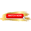 online stores  in ss arain