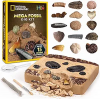 NATIONAL GEOGRAPHIC Mega Fossil Dig Kit - Excavate 15 Genuine Prehistoric Fossils, Kids Fossil Kit,