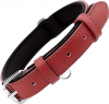 Collar para perro