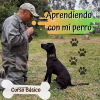 Curso aprendiendo con mi perro (entrenar)