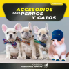 Curso hacer accesorios para perros y gatos