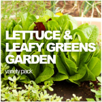 LETTUCE & LEAFY GREENS Variety Pack