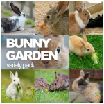 BUNNY GARDEN Variety Pack