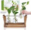 User friendly Hydroponic to grow flower and hebs, for Office Table and Home Decor. Ideal gift for Birthdays or Women. Only $14.99