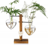 User friendly Hydroponic to grow flower and hebs, for Office Table and Home Decor,. Ideal gift for Birthday or Women. Only $18.88