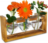 User friendly Hydroponic to grow flower and hebs, for Office Table and Home Decor. Ideal gift for Birthdays or Women. Only $19.97