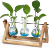 User friendly Hydroponic to grow flower and hebs, for Office Table and Home Decor, or Birthday Gifts for Women, Only$13.99