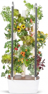 Super Cool Indoor Vertical Gardens