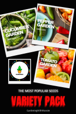 THE 3 MOST POPULAR SEEDS