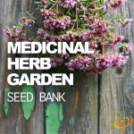 Medicinal Herb Garden Seed Bank