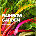 Rainbow Garden Variety Pack