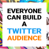 Everyone Can Build a Twitter Audience