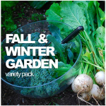 Fall & Winter Variety Pack
