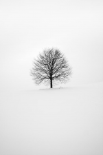 All Poetry