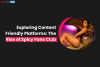 Exploring Content-Friendly Platforms: The Rise of Spicy Fans Club