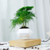 5. Levitating Air Bonsai