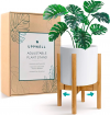 Modern Flower & Plant Pot Holder $34.99