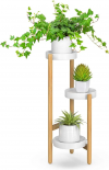 Plants and Flower Display Rack for Office, Garden and Home $49.99