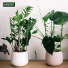 Adjustable Tomato Plant Support Cages $14.99