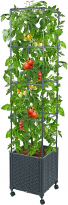 Tomatoes Planters
