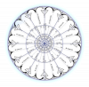 •	Water Wellness – (Quinton Marine Minerals and more)