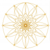 Quantum Nurse Base-12 Source Codes DNA Activations