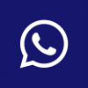 WHATSAPP CHANNEL