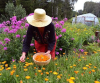 NEW: The Self-Sufficient Backyard
