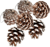 Snowy Pinecone Christmas Ornaments