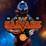 Space Salvage