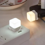 Usb voice control night light