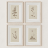Neutral Color Botanical Floral Wall Art