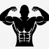Plan de entrenamiento y alimentación ✅