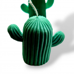 🌵 Cactus candela in cera di soia  🍃