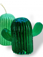 Cactus 🌵 Resina ✨️