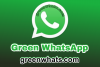 Green WhatsApp