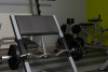 Preacher Curl Bench