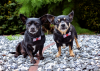 My Siblings Instagram - Phoebe & Prue
