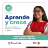 Next Step Mentorship- convocatoria