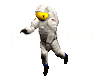 Portofolio
