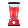 Create Your Custom Diet Plan