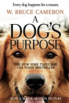 jion Dog Books