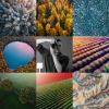 Prints