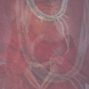 Matrice ✦ A journey into your womb _ June 26