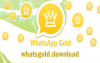 Golden Whatsapp